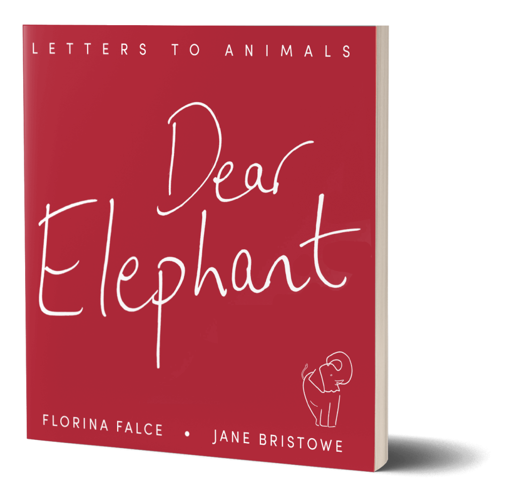 ‘Dear Elephant’ Book – Jane Bristowe Artist