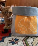 Cat Bag photo Ginger Cat + Louis