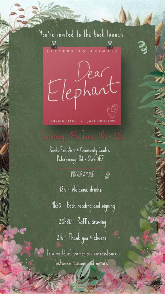 Dear Elephant invitation